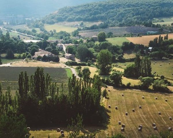 Frankrijk wijngaard